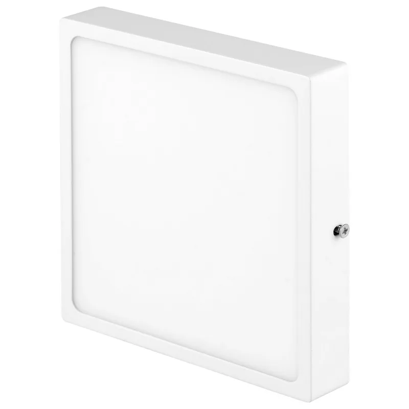 Світильник точковий світлодіодний LED-491/12W NW